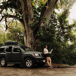 https://epic-maui-camping.hotelsinhawaii.org